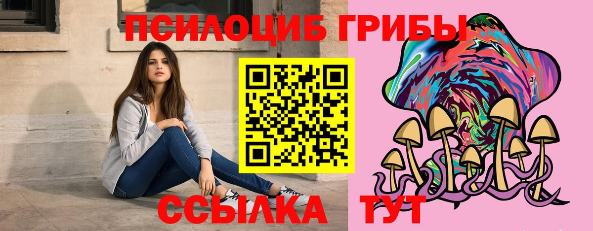Галлюциногенные грибы Cubensis  Галлюциногенные грибы GOLDEN TEACHER  Вход с VPN  Камышин 