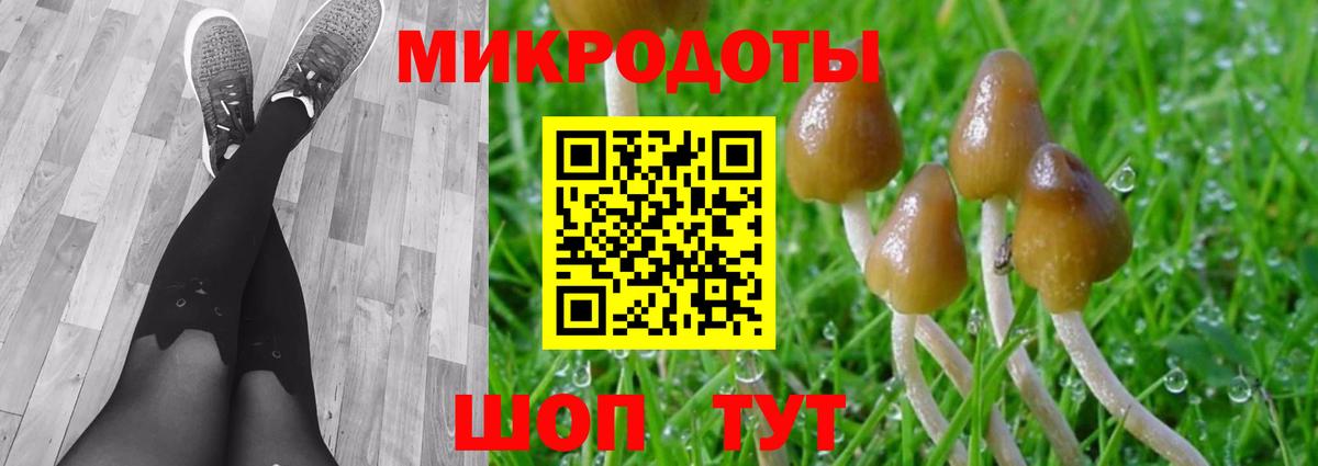 Галлюциногенные грибы мухоморы Камышин